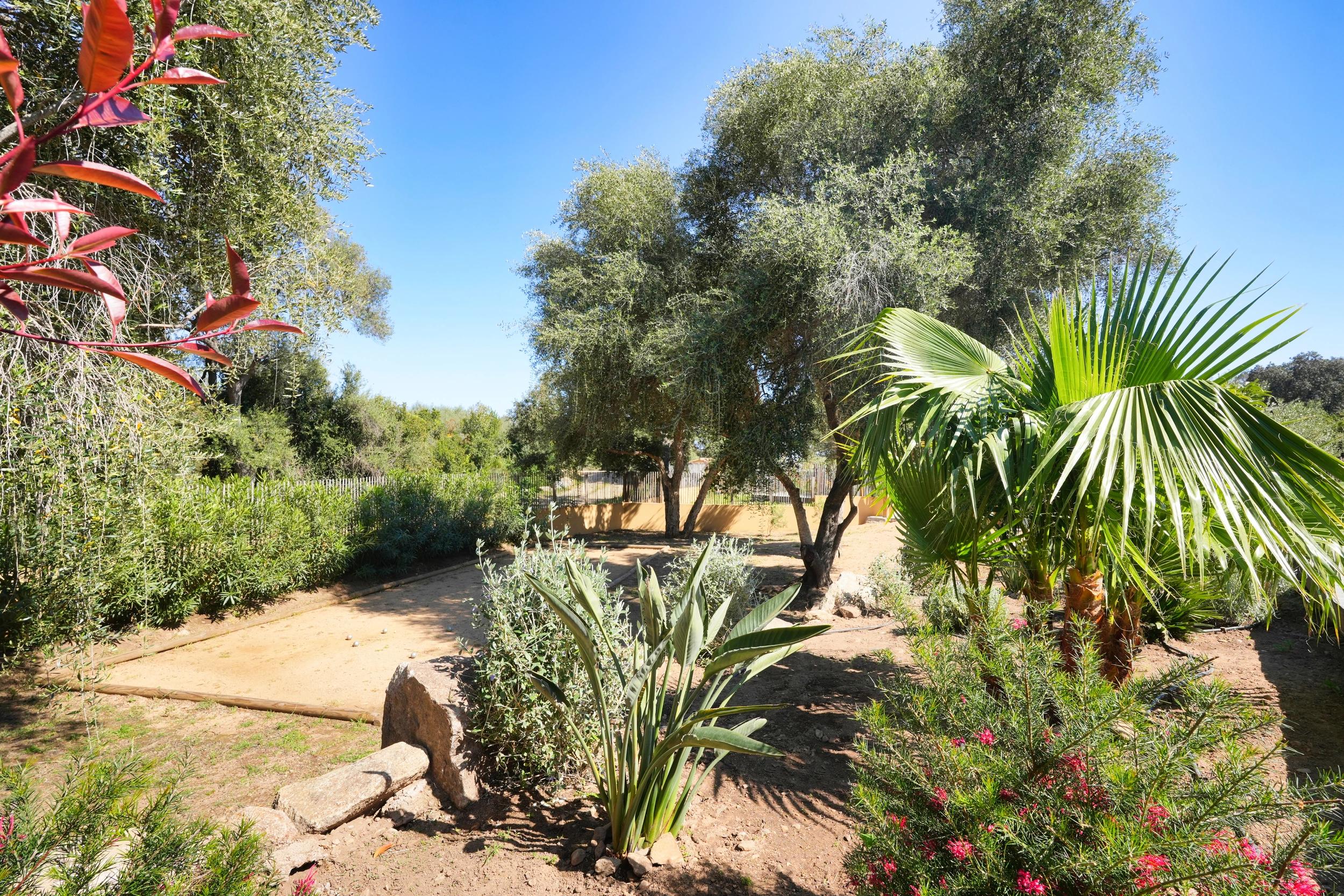 Jardin méditerranéen lumineux près de la Résidence Vista Blu entre Fautea et Tarco