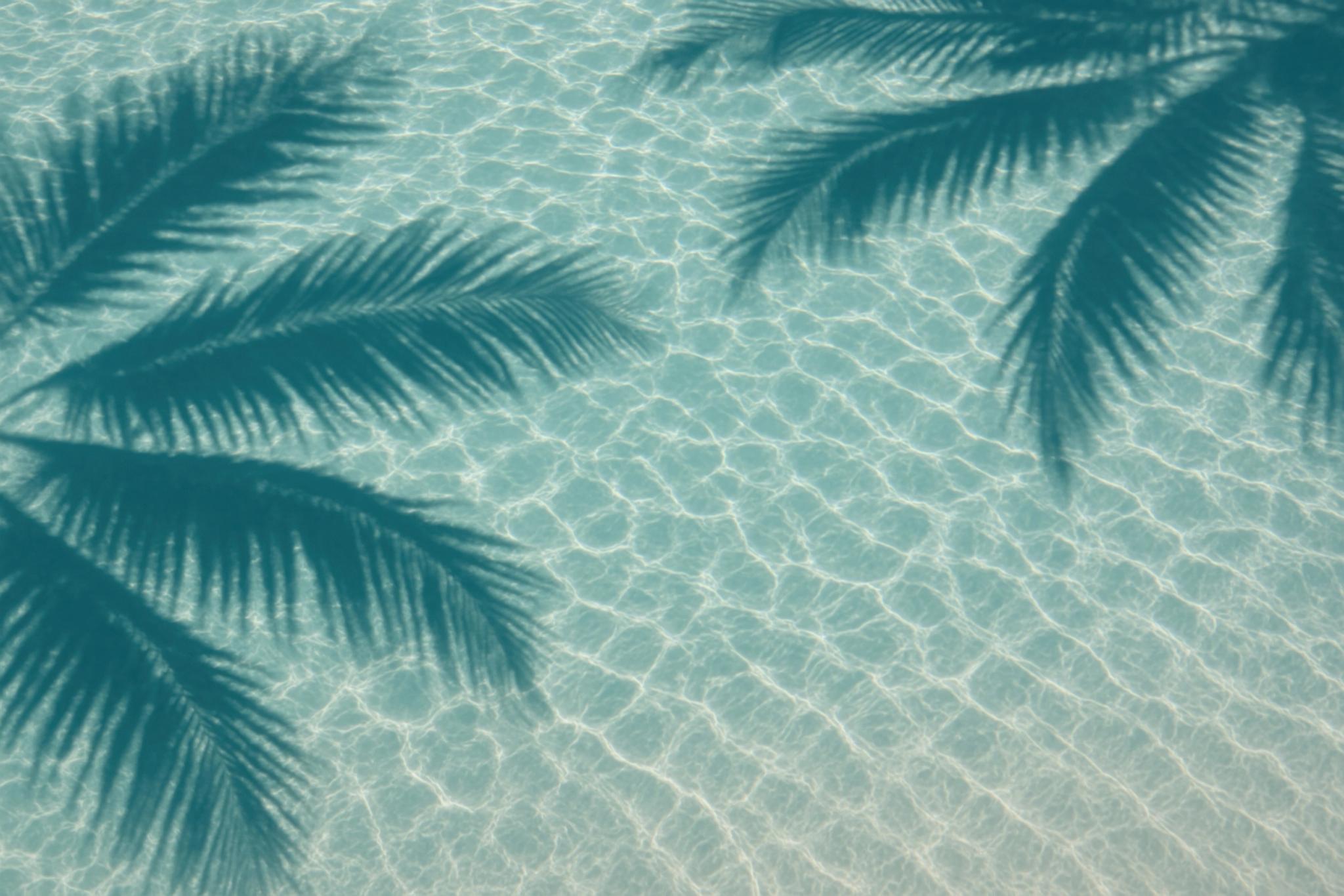 Reflets d’eau claire et palmiers en bord de mer corse