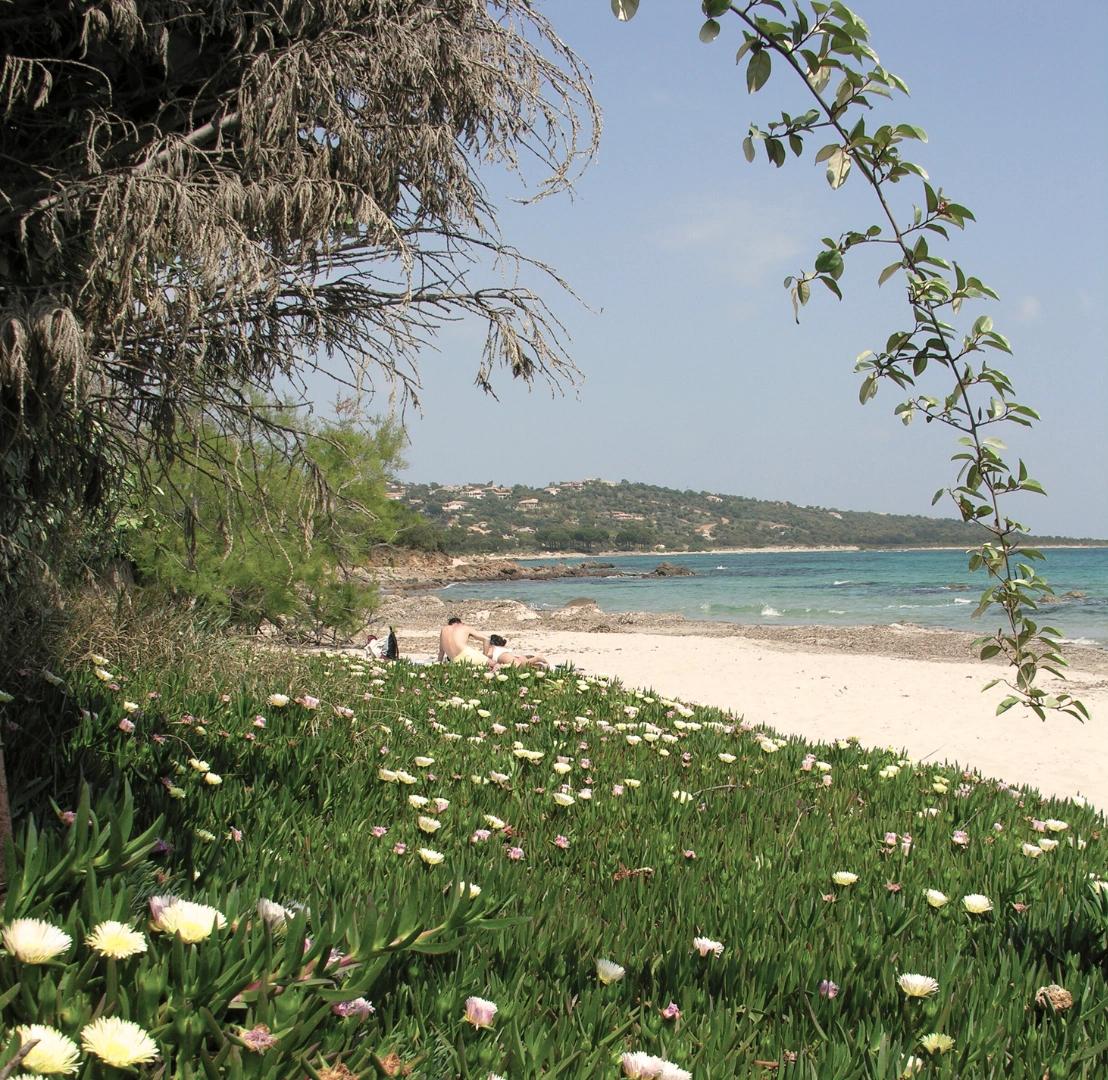 Plage de sable clair proche de Fautea et Tarco en Corse-du-Sud